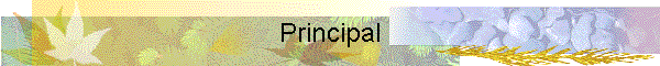 Principal